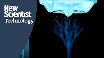 This 3D printer could build human organs using light and sound