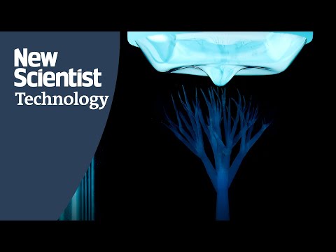 This 3D printer could build human organs using light and sound