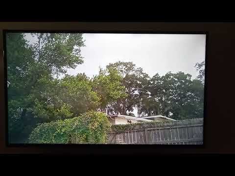 Living Wallpaper with Python and Raspberry Pi