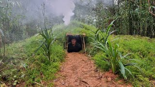 Building complete & warm survival shelter | Bushcraft earth hut, grass roof & fireplace