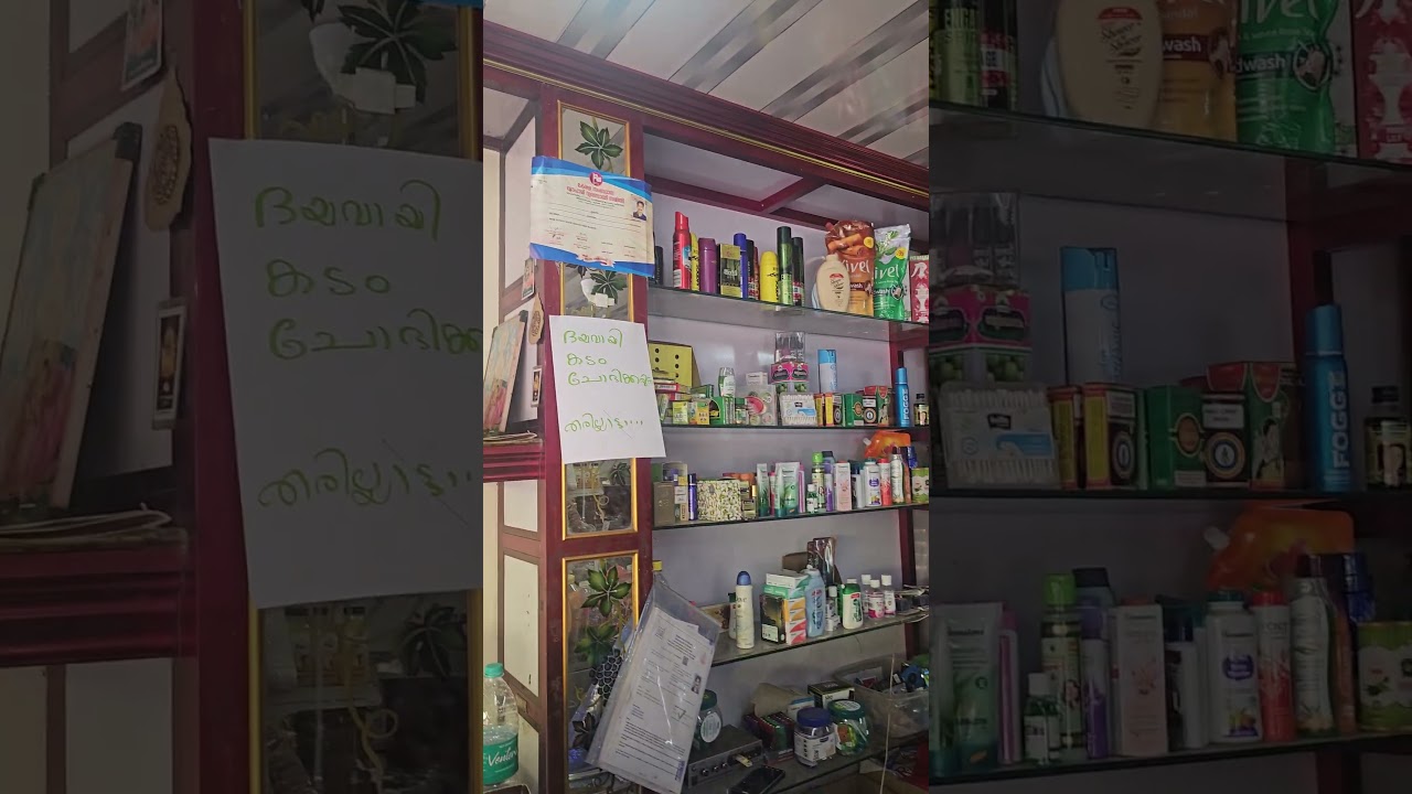 Only in Kerala Thrissur! ✨ 