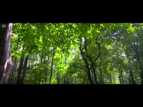 الرسول ﷺ يا بلال بما سبقتني الجنة تقدر تكون انت الآن تمشي على الارض و صوت نعليك ورجليك بالجنه