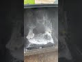 Pressure washing trash cans