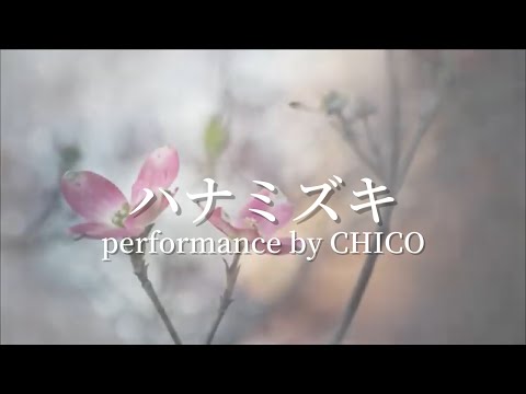【歌ってみた】一青窈_ハナミズキ