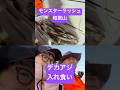 和歌山アジング #尺アジ #入れ食い ‼️ モンスターラッシュ #アジング #バチコン