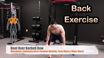 Back Exercise - Bent Over Barbell Row - Exercise Library