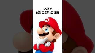 マリオが配管工になった理由【改訂版】 #マリオ #nintendo screenshot 2