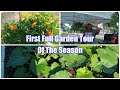 First Full Garden Tour Of The Season
