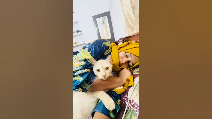 Watch the video about കുഞ്ഞാപ്പിന്റെ സ്നേഹം #shortvideo #shorts