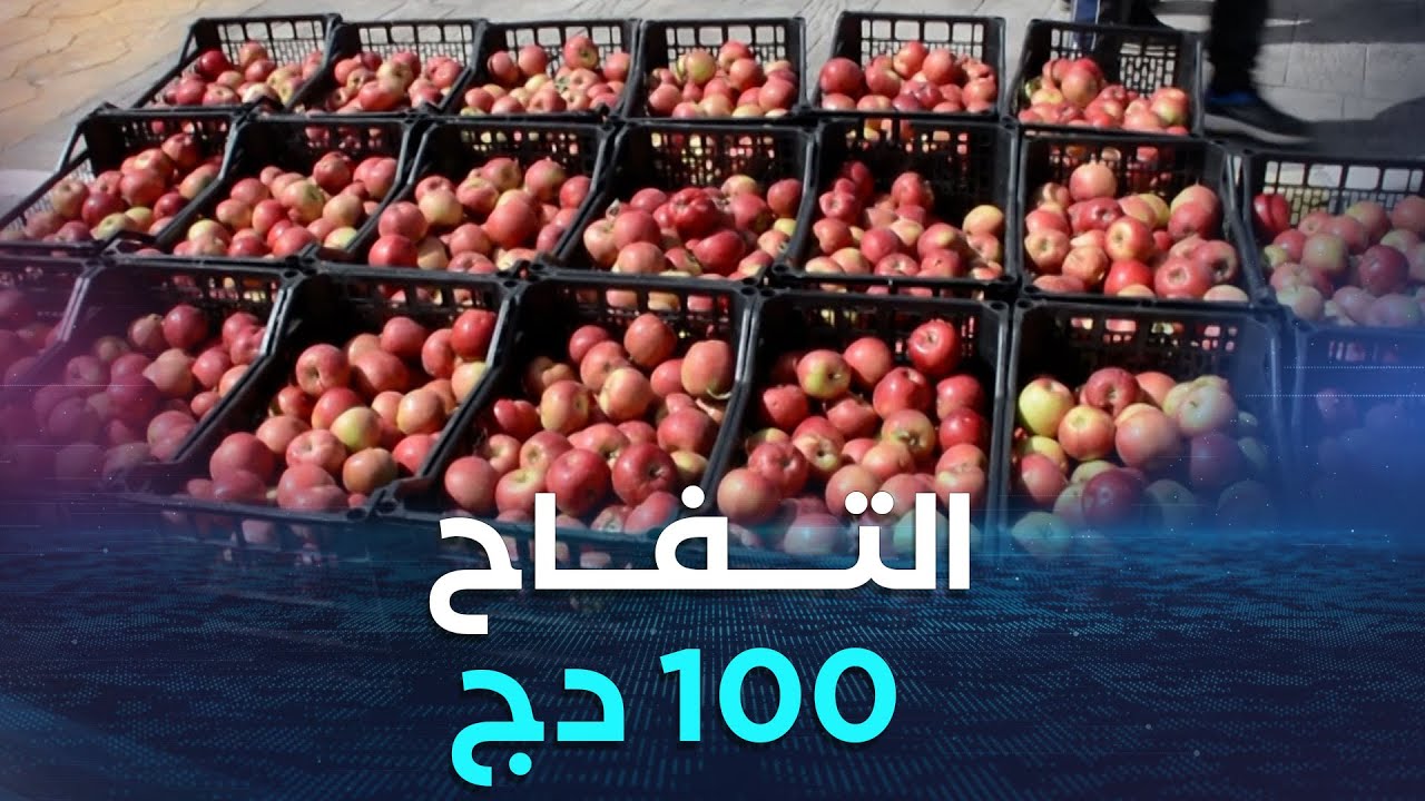 خنشلة تراجع محسوس في أسعار التفاح بعد فتح السوق الوطني ببلدية بوحمامة