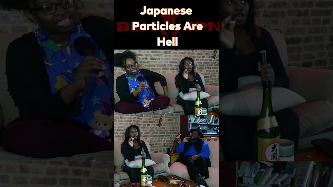 Japanese Particles Are Hell 