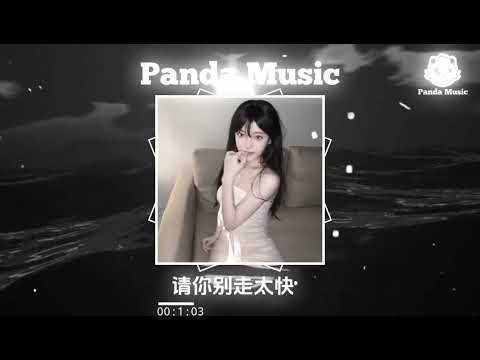 汪六六 & 潘成(皮卡潘) - 请你别走太快 (3D 环绕版) (抖音DJ版)  ◖氛围感BGM◗DOUYIN | TIKTOK | MUSIC | REMIX