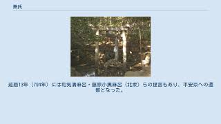 秦氏