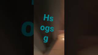 3 De Janeiro De 2022