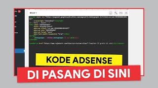 PRAKTIK TERBAIK! 2 Cara Memasang Kode Iklan Google AdSense di WordPress screenshot 2