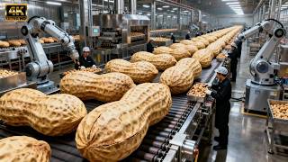 The Peanut Oil Process: From Harvesting to Finished Cooking Oil