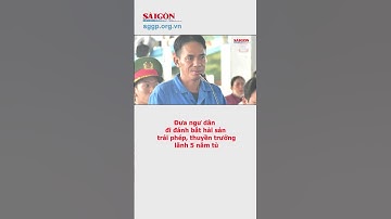 Đưa ngư dân đi đánh bắt hải sản trái phép, thuyền trưởng lãnh 5 năm tù