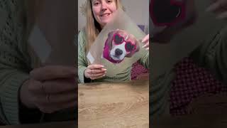 Un pull à l’effigie de votre animal de compagnie avec Cricut 🐶