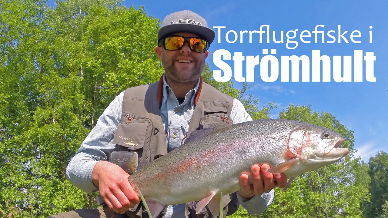 Torrflugefiske i Strömhult