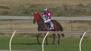 Vidéo de la course PMU GALA TAVERN - WILMA MCLEOD MEMORIAL HANDICAP