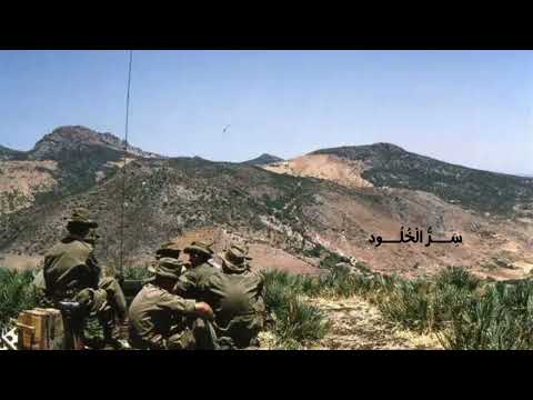 نص فهم المنطوق سر الخلود