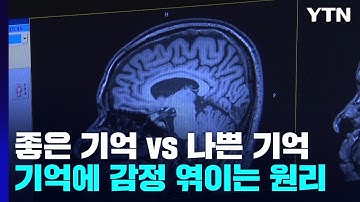좋은 기억 vs 나쁜 기억...기억에 감정 입혀지는 원리는? / YTN