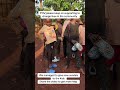 Helping orphans in the community