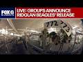 LIVE: Ridglan Farms beagles, rescue groups announced release of 1,500 dogs | FOX6 News Milwaukee