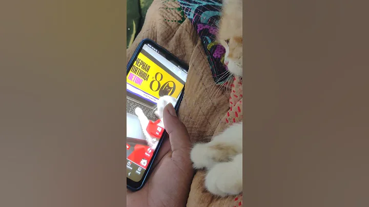 Watch the video about Funny cat's videos 😂😺 #cat #cutecat #cute #pets #exotic #birds #nature #birdsong #shorts #viral