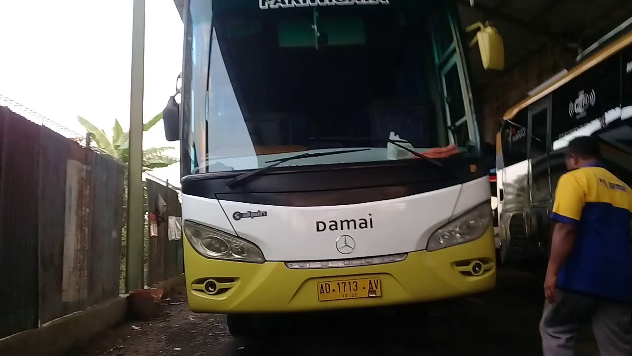 Bus damai