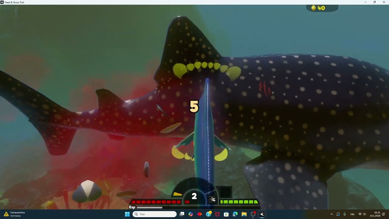 feed and grow #1. Ollaan haitten ruokana.