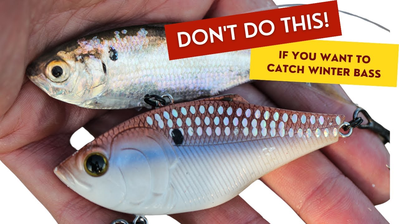 Winter Bass Fishing: Do NOT Match the Hatch!