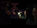 STONEASHES LIVE AT THE JACARANDA (LIVERPOOL) (26-4-2026)