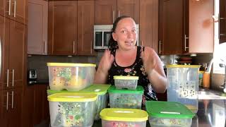 Intellifrais / fridgesmart tupperware