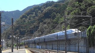 【高速通過】東海道新幹線が東海道線 用宗駅付近を通過