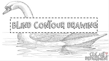 Blind contour drawing (Y9 bird project)