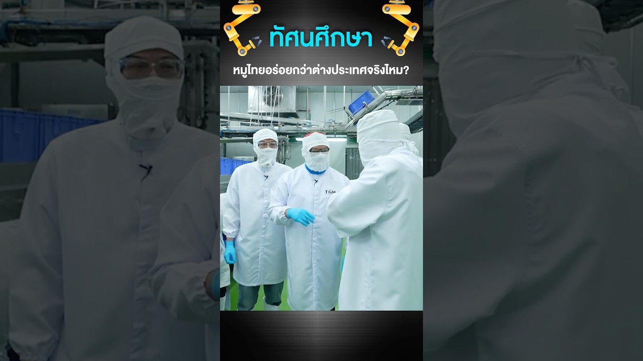หมูไทยอร่อยกว่าต่างประเทศจริงไหม? ทุกคนคิดว่าอย่างไร? #เสือร้องไห้ #TigerShorts #shorts #ทัศนศึกษา