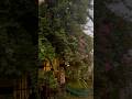 Morning, Noon & Evening Hue🧡#naturevlogs #naturelovers #soothing #shortsvideo #shortsviral
