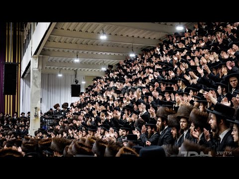 Wedding of Satmar Rebbe R’ Zalmen Leib’s Grandson | שמחת החתונה של נכד האדמו״ר מסאטמאר שליט״א