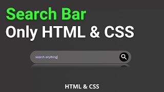Make Interactive CSS Search Box | Search Bar CSS | HTML & CSS Tutorial