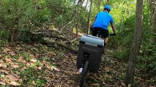 TOUT TERRAIN KIDS BIKE TRAILER