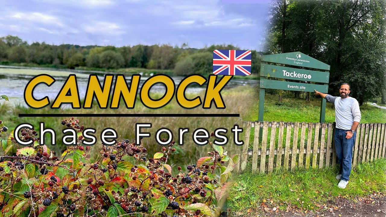 Cannock Chase Forest - YouTube
