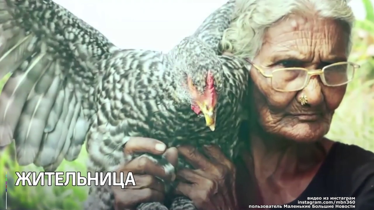 Утренний фреш 25 05 2017 - YouTube