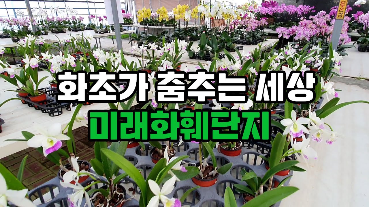 부산 미래화훼단지 - 화초가 춤추는 세상