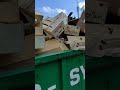 Garbage, junk, and clutter are everywhere. What can you find there?