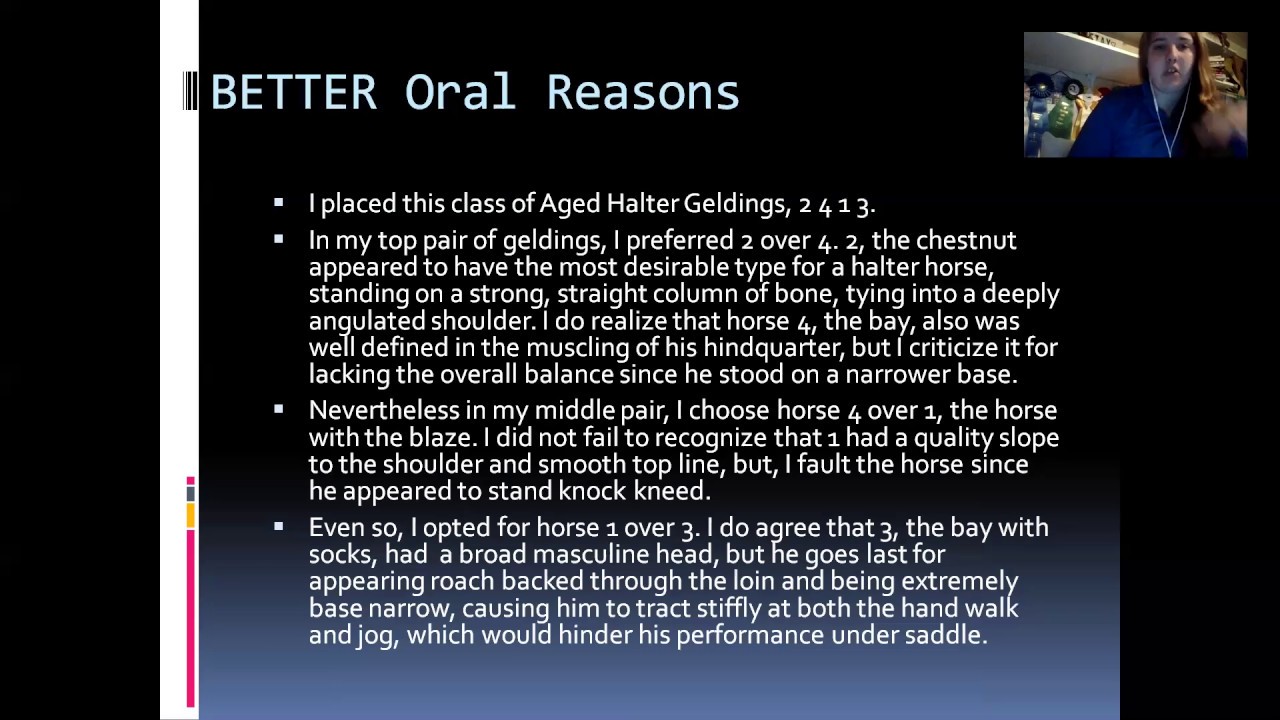 Judging Halter Horses and Oral Reasons YouTube