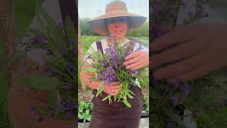 Sage In Bloom