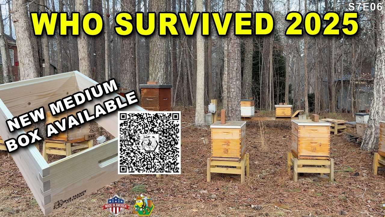 Кто переживёт 2025 год? | Осматриваем несколько ульев в тёплый день и делимся впечатлениями о нов...