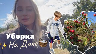 видео: СКОЛЬКО МЫ ПЛАТИМ ЗА ДАЧУ В ГОД 💰/ Лука выиграл медаль 🏅Разболелся зуб после пломбы картинка: СКОЛЬКО МЫ ПЛАТИМ ЗА ДАЧУ В ГОД 💰/ Лука выиграл медаль 🏅Разболелся зуб после пломбы