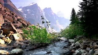 8D Study Music with Nature Sounds